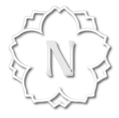 Nakamura Web Services Logo